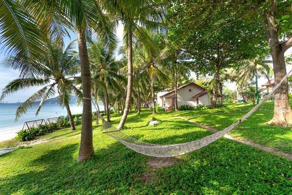 Guide Ultime pour Choisir l'Itinéraire Parfait de Votre Croisière de Noël