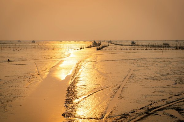 Explorez les Meilleurs Destinations pour Réserver vos Aventures Épiques !